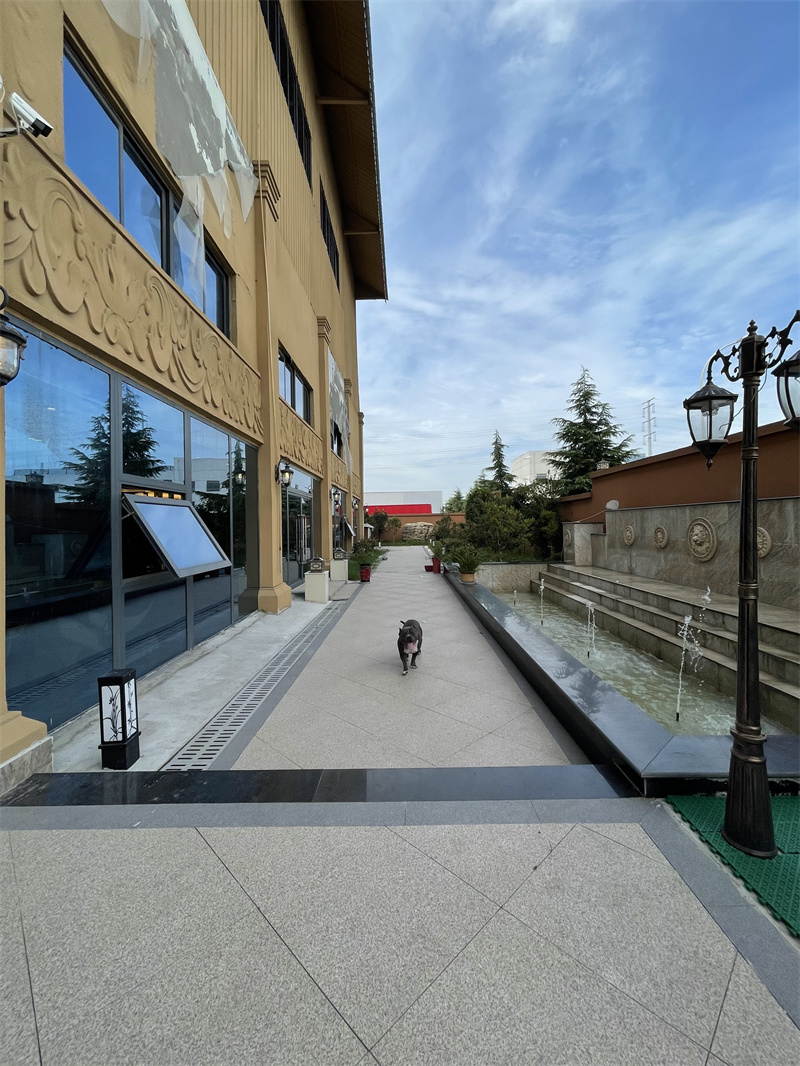 别墅室外瓷砖 别墅室外瓷砖